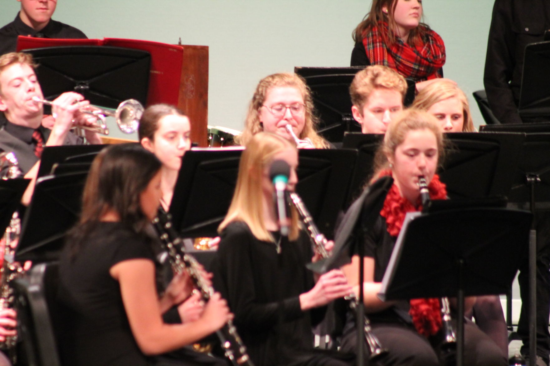 BDHS Bands Holiday Concert 033.JPG